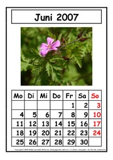 Kalenderblatt-Juni-2007.pdf
